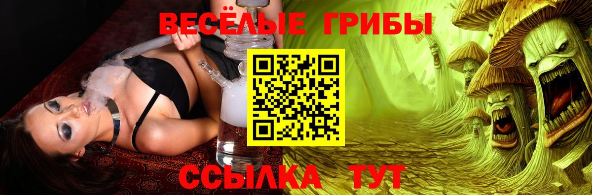 Галлюциногенные грибы прущие грибы Корсаков