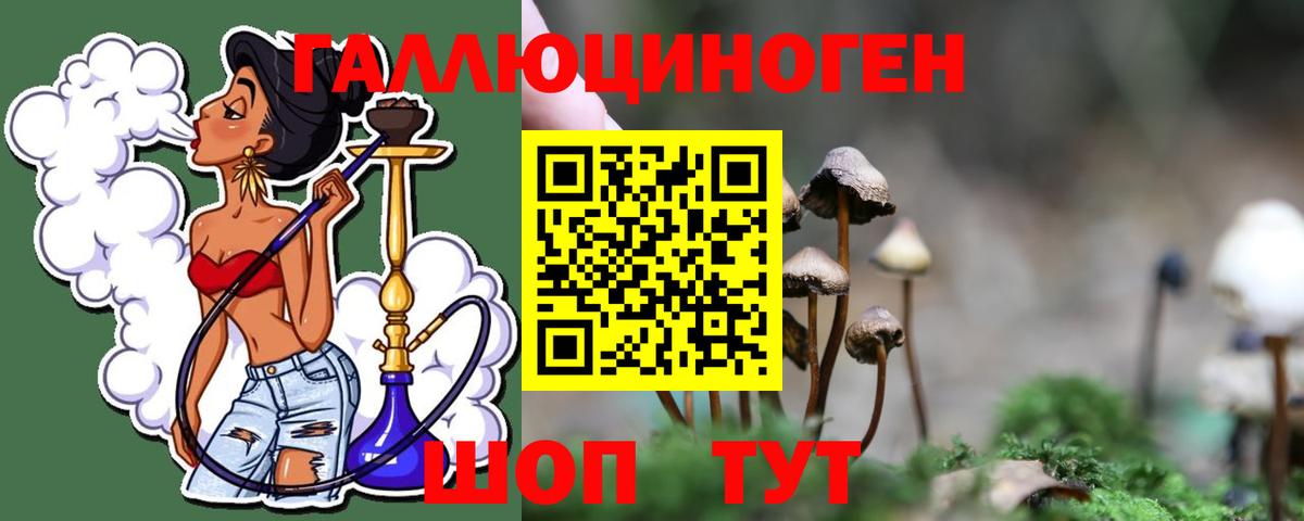 Корсаков  Галлюциногенные грибы GOLDEN TEACHER  Галлюциногенные грибы мухоморы  Вход с VPN 